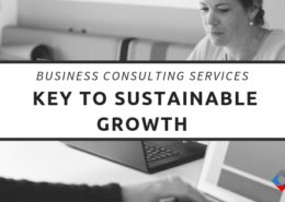 Business Consulting Services - Key to Sustainable Growth Business Consulting Services - Key to Sustainable Growth